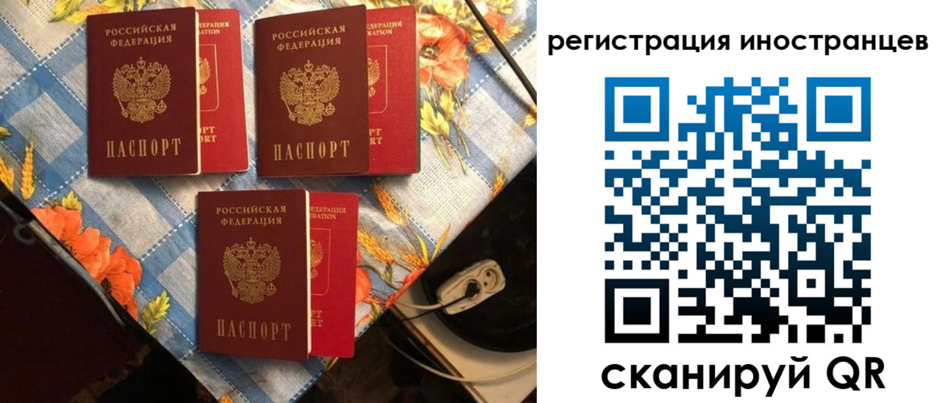 прописка поиск в Приморско-Ахтарске